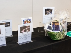 Silent-Auction-2